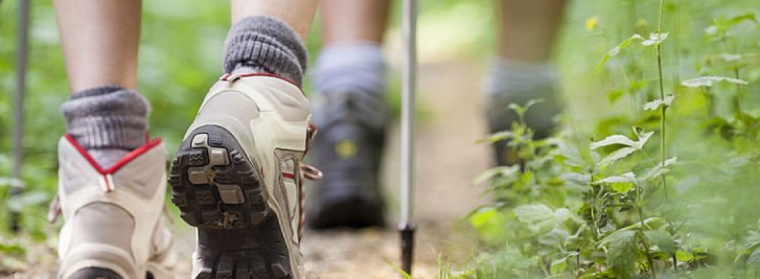 22-25 Mei Wandel4Daagse Diever 2025