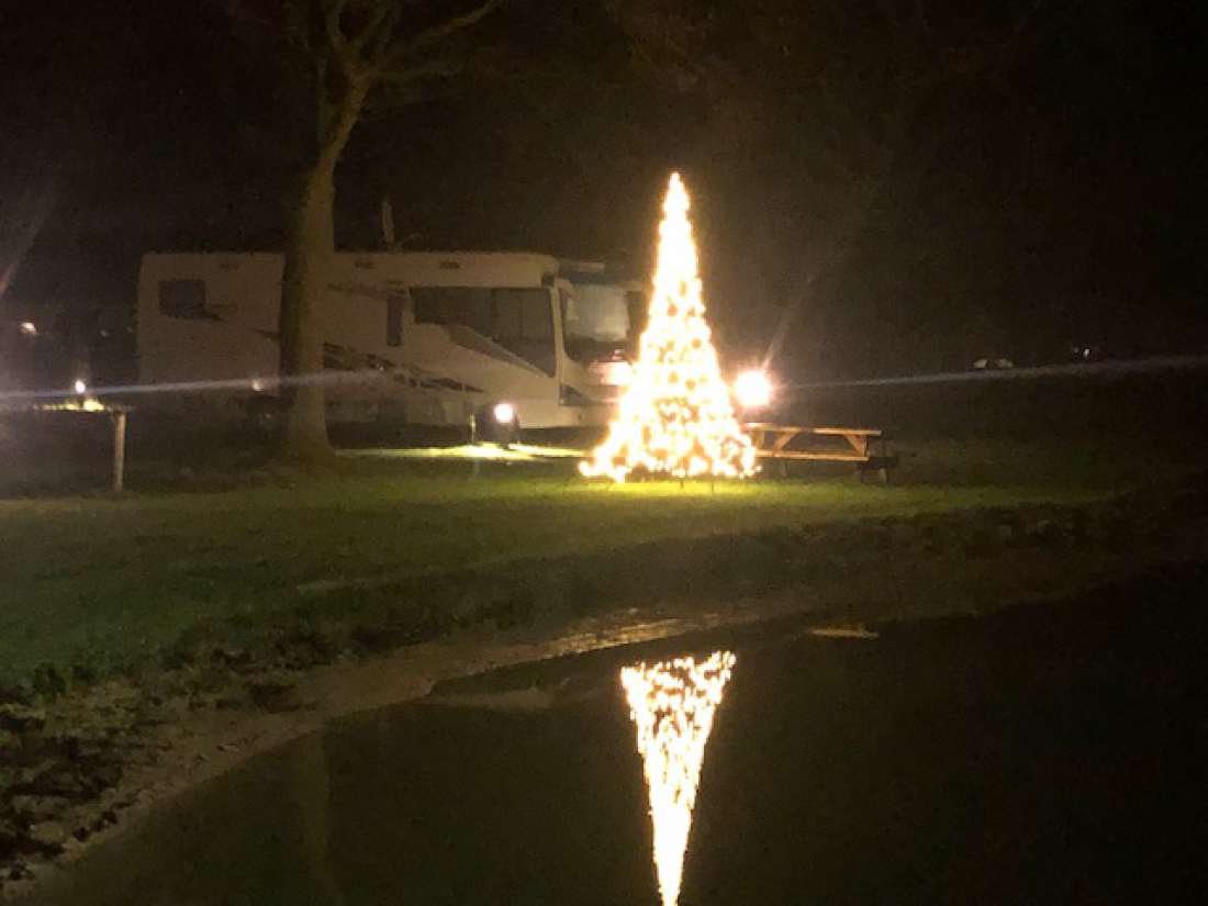 Kerstboom vijver